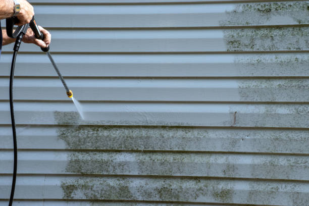 Best Siding Repair  in Hampton, IL